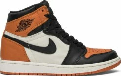 Air Jordan 1 Retro High OG "SHATTERED BACKBOARD"