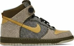 Nike Dunk High "CORALINE"