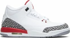 Air Jordan 3 Retro GS "HALL OF FAME"