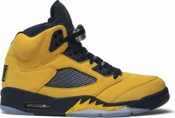 Air Jordan 5 Retro SE "MICHIGAN"