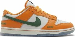 Nike Dunk Low "FLORIDA A&M UNIVERSITY"