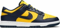Nike Dunk Low Retro "MICHIGAN" 2021